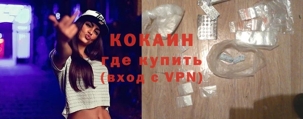 стаф Богданович