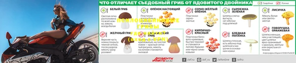 a pvp Богородск
