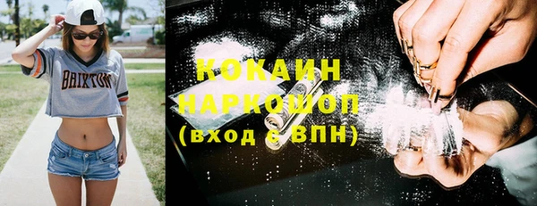 стаф Богданович