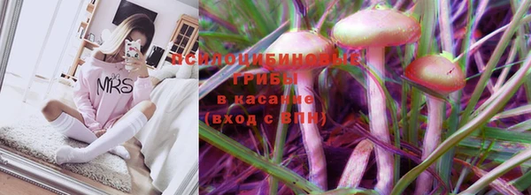 прущая мука Белокуриха