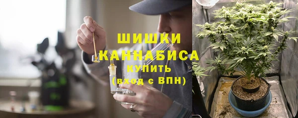 стаф Богданович