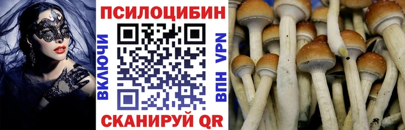 Купить закладки  Кашин  Псилоцибиновые грибы MAGIC MUSHROOMS 